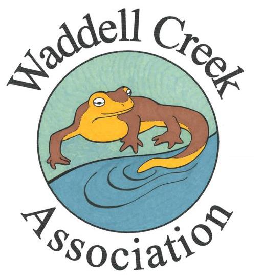 Waddell Creek Assoc. Logo
